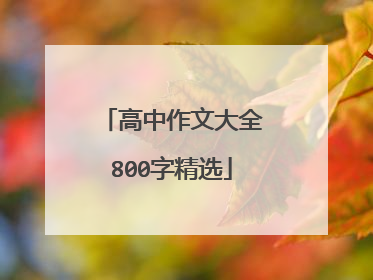 高中作文大全800字精选