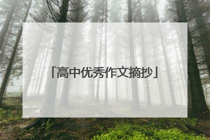 高中优秀作文摘抄