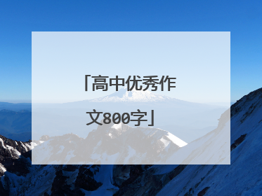 高中优秀作文800字