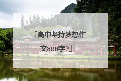 高中坚持梦想作文800字?