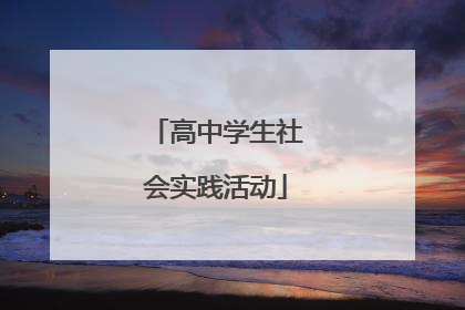 高中学生社会实践活动