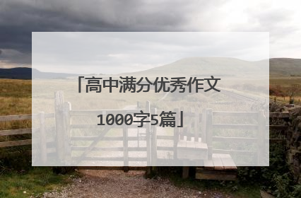 高中满分优秀作文1000字5篇