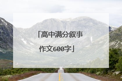 高中满分叙事作文600字