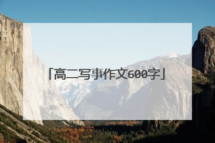 高二写事作文600字