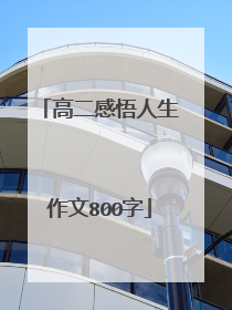 高二感悟人生作文800字