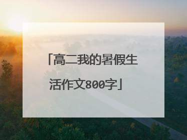 高二我的暑假生活作文800字