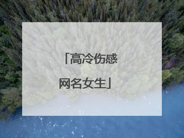 高冷伤感网名女生