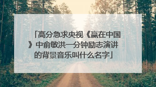 高分急求央视《赢在中国》中俞敏洪一分钟励志演讲的背景音乐叫什么名字