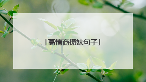 高情商撩妹句子
