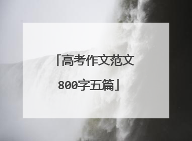 高考作文范文800字五篇