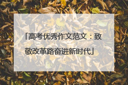 高考优秀作文范文：致敬改革路奋进新时代