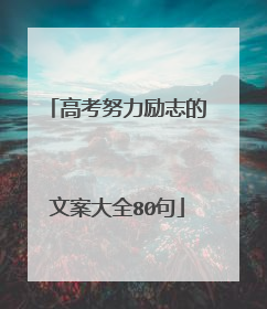 高考努力励志的文案大全80句