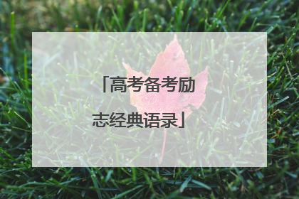 高考备考励志经典语录