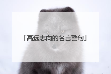 高远志向的名言警句