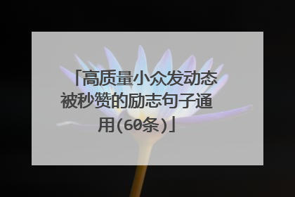 高质量小众发动态被秒赞的励志句子通用(60条)