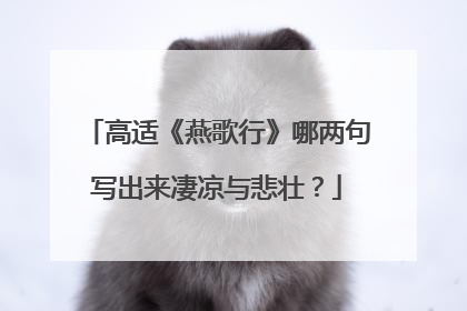 高适《燕歌行》哪两句写出来凄凉与悲壮?