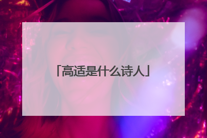高适是什么诗人