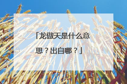 龙傲天是什么意思？出自哪？