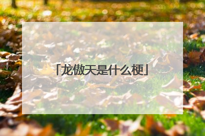 龙傲天是什么梗