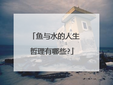 鱼与水的人生哲理有哪些?