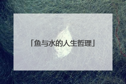 鱼与水的人生哲理
