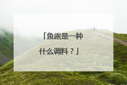 鱼露是一种什么调料？