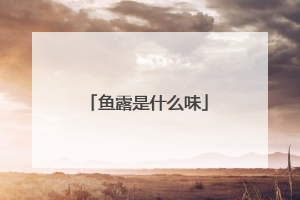 鱼露是什么味