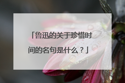 鲁迅的关于珍惜时间的名句是什么？