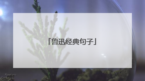 鲁迅经典句子
