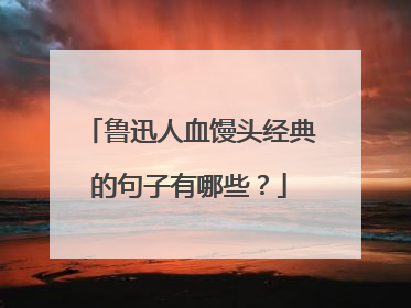 鲁迅人血馒头经典的句子有哪些？