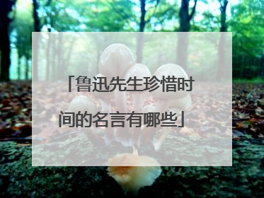 鲁迅先生珍惜时间的名言有哪些