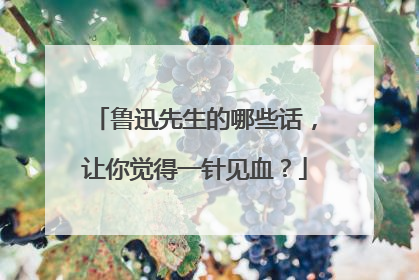 鲁迅先生的哪些话，让你觉得一针见血？