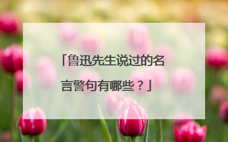 鲁迅先生说过的名言警句有哪些?