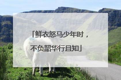 鲜衣怒马少年时,不负韶华行且知