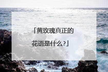 黄玫瑰真正的花语是什么?