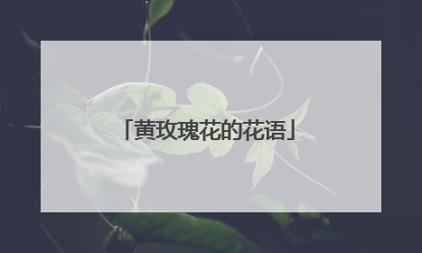 黄玫瑰花的花语