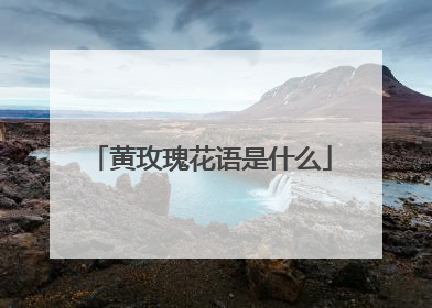 黄玫瑰花语是什么