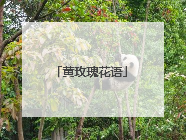 黄玫瑰花语