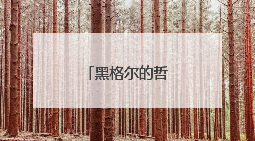 黑格尔的哲学理论?