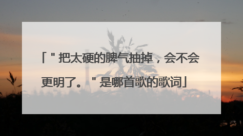 "把太硬的脾气抽掉,会不会更明了。"是哪首歌的歌词
