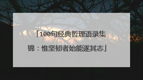 100句经典哲理语录集锦：惟坚韧者始能遂其志