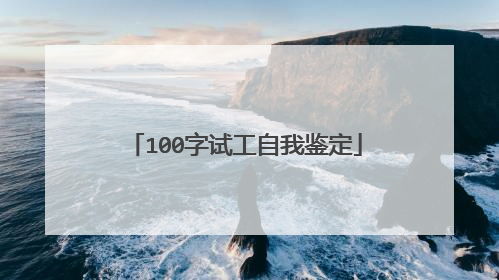 100字试工自我鉴定