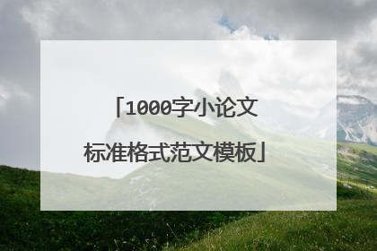 1000字小论文标准格式范文模板