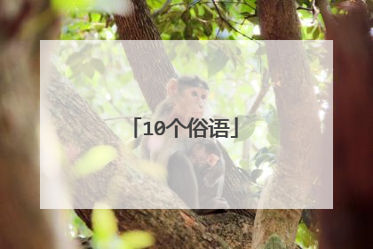 10个俗语