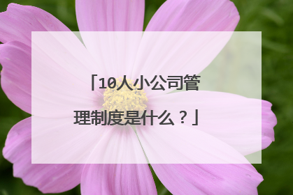 10人小公司管理制度是什么？