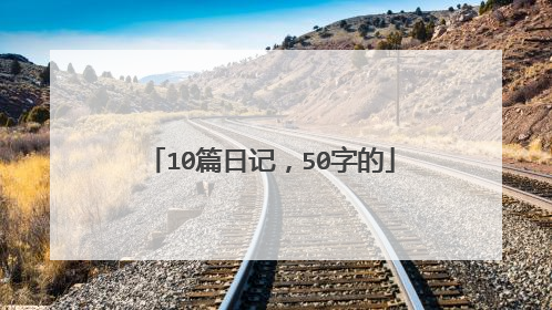 10篇日记，50字的