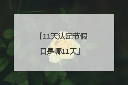 11天法定节假日是哪11天