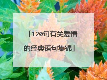 120句有关爱情的经典语句集锦