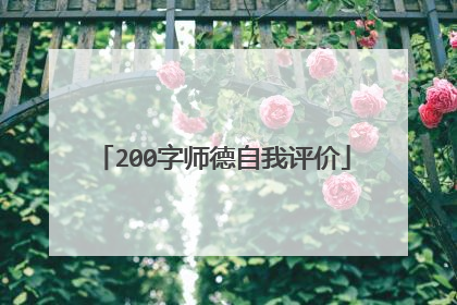 200字师德自我评价