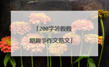 200字暑假假期趣事作文范文